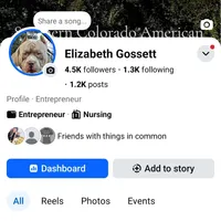 Bad Mutha Tugga , a male American Bully for sale in Trinidad, CO – Photo 3 of 9