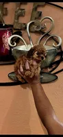Daisy, a female Poodle - Toy  for sale in Trinidad, CO – Photo 2 of 3
