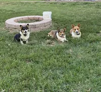 processed/6ac0edbb-722b-4a99-a216-e8e0846d4ca3/facility/2f5d4061-ea62-488e-82fa-4297d0aab5c6