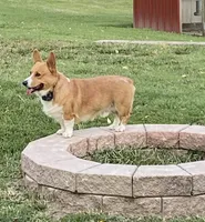 processed/6ac0edbb-722b-4a99-a216-e8e0846d4ca3/facility/c7624220-89e2-4df6-b092-720f1fe42aca