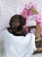 processed/6acee8e4-dc51-4d82-994d-7385345dd418/facility/13c6ed6f-5ef0-428d-af5b-df390d3267b9