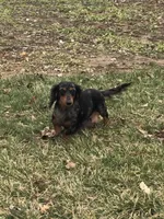 processed/6acee8e4-dc51-4d82-994d-7385345dd418/facility/458fd794-fc69-4ebf-856a-380ce248b018