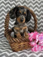 processed/6acee8e4-dc51-4d82-994d-7385345dd418/facility/aa7645b3-ce7f-4975-b986-f48f7081d22a