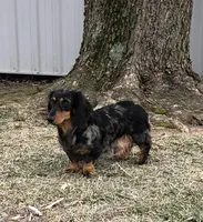 processed/6acee8e4-dc51-4d82-994d-7385345dd418/facility/c942a43f-01b4-4c70-b8bf-ce5dddfc6c9e