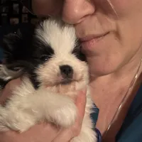 processed/6ad64b7c-e372-46be-ba11-0ebf9b917408/facility/05f2b4fd-123b-4301-8d64-04861a3816f3