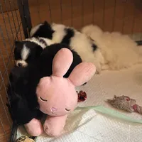 processed/6ad64b7c-e372-46be-ba11-0ebf9b917408/facility/161a0c47-9fb1-480e-b85b-50a2eb9901ba