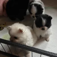 processed/6ad64b7c-e372-46be-ba11-0ebf9b917408/facility/33686e0f-76aa-414b-b611-f36ae27e70e6