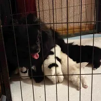 processed/6ad64b7c-e372-46be-ba11-0ebf9b917408/facility/96561a07-f1cc-486a-9738-27e9aba69099