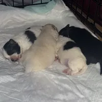 processed/6ad64b7c-e372-46be-ba11-0ebf9b917408/facility/d2531a05-5dec-4fe1-be0c-02439e4f2cb7