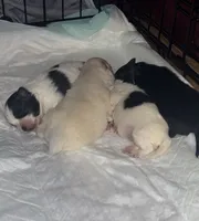 processed/6ad64b7c-e372-46be-ba11-0ebf9b917408/facility/d2531a05-5dec-4fe1-be0c-02439e4f2cb7