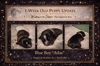 processed/6adaffb9-49d8-40a3-aad4-32082ebf8820/listing/1b972931-c546-4d62-8f4a-b8afd7cae199/25a6844d-e839-498d-83cd-1fad00eb8126