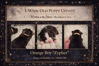 processed/6adaffb9-49d8-40a3-aad4-32082ebf8820/listing/1e45148c-bff2-47a7-a031-de0891fdeec8/052090a5-7b9f-4138-8cd7-b14b28b7ab40