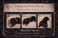 processed/6adaffb9-49d8-40a3-aad4-32082ebf8820/listing/43da1974-c852-483c-b2e0-096429d00a3d/aed48ea8-9b56-4279-9d38-9c888ab8a92e