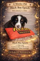 processed/6adaffb9-49d8-40a3-aad4-32082ebf8820/listing/43da1974-c852-483c-b2e0-096429d00a3d/db8f9433-4cf0-4c53-b57a-d3d023015ccc