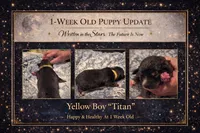 processed/6adaffb9-49d8-40a3-aad4-32082ebf8820/listing/8edd1dbd-9346-41cc-831e-9662cd7e659d/b0b4725e-87a1-4441-a9b0-86017ae98ca0