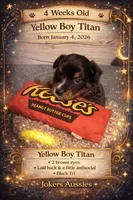 processed/6adaffb9-49d8-40a3-aad4-32082ebf8820/listing/8edd1dbd-9346-41cc-831e-9662cd7e659d/cad34808-782c-4c09-94f8-600a52e53a09