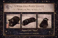 processed/6adaffb9-49d8-40a3-aad4-32082ebf8820/listing/ae6bffc3-49a5-46ba-b0fb-f1a2a75d0abf/4735ceb0-1a1c-418a-aaff-e542cf78489e