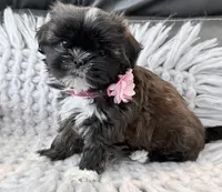 processed/6ae29a83-dc01-4532-b83e-834ef67e8d5d/listing/40cce22a-6655-4e59-80ea-b2fa8ee4b8b9/9a00a583-13d3-4c2d-a2dc-ebea31641f2e