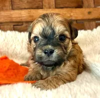 processed/6af2260a-39fc-4b19-9db1-a5ecc6646f11/listing/2ec6e142-9eaa-4013-a6f0-8be7e3508296/9467622d-c544-4c2e-8613-238941d36c4d