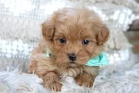 processed/6af2260a-39fc-4b19-9db1-a5ecc6646f11/listing/61ea424d-0341-4d84-b4ab-58062acbd9ff/356eff41-3521-46a2-ba0f-fcfc8d0d26e0