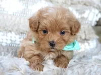 processed/6af2260a-39fc-4b19-9db1-a5ecc6646f11/listing/61ea424d-0341-4d84-b4ab-58062acbd9ff/9c39a54a-55ec-4018-b2da-e3d716693f8e