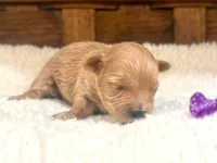 processed/6af2260a-39fc-4b19-9db1-a5ecc6646f11/listing/63eb5f4f-eacb-499c-beb6-a69beb3b7418/b25b6877-0e60-4f11-86ab-eae1238a1741