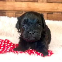 processed/6af2260a-39fc-4b19-9db1-a5ecc6646f11/listing/8b05ccde-d8f8-472c-8f82-b60f36e611ae/ccce51c7-4b38-40d2-b739-70ee618b7195