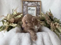 processed/6af2c337-7cf0-4aa7-be38-28c8f9d61865/listing/1ff8ab00-daf7-4130-b54a-a1d6cca4bed1/020fa6d9-ba00-4ab2-a4cd-e4530e7b842e