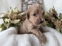 processed/6af2c337-7cf0-4aa7-be38-28c8f9d61865/listing/1ff8ab00-daf7-4130-b54a-a1d6cca4bed1/0fa6e809-eb6c-478b-9951-e35514e47f50