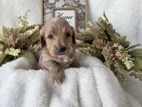 processed/6af2c337-7cf0-4aa7-be38-28c8f9d61865/listing/1ff8ab00-daf7-4130-b54a-a1d6cca4bed1/16faf589-ab16-433c-8462-f8c4804747ab