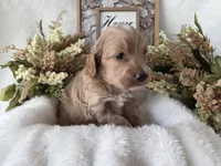 processed/6af2c337-7cf0-4aa7-be38-28c8f9d61865/listing/1ff8ab00-daf7-4130-b54a-a1d6cca4bed1/5d995f3d-d408-4877-804e-fcbd5cb9cc93