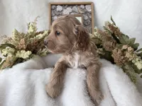 processed/6af2c337-7cf0-4aa7-be38-28c8f9d61865/listing/1ff8ab00-daf7-4130-b54a-a1d6cca4bed1/fc29c6a6-f923-4f95-ad07-f3bd73c23e82