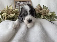 processed/6af2c337-7cf0-4aa7-be38-28c8f9d61865/listing/424e9705-35c4-4596-b113-05fe4827f6f4/02063c06-0364-4d31-92df-8fda021e0275