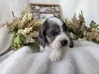 processed/6af2c337-7cf0-4aa7-be38-28c8f9d61865/listing/424e9705-35c4-4596-b113-05fe4827f6f4/514437fa-52aa-4fa7-86ba-8b5f9f85f553