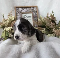 processed/6af2c337-7cf0-4aa7-be38-28c8f9d61865/listing/424e9705-35c4-4596-b113-05fe4827f6f4/906f854e-2ead-4f8f-9b8b-6eb940e59c60