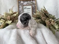 processed/6af2c337-7cf0-4aa7-be38-28c8f9d61865/listing/b6fcc692-efff-488a-8554-24d755370fb6/4068e724-410d-4aa4-a9c6-da4e93387118