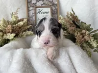 processed/6af2c337-7cf0-4aa7-be38-28c8f9d61865/listing/b6fcc692-efff-488a-8554-24d755370fb6/5ef5ccf1-20e8-4b13-9aea-323f2edfb1d2