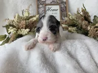 processed/6af2c337-7cf0-4aa7-be38-28c8f9d61865/listing/b6fcc692-efff-488a-8554-24d755370fb6/c01f6ac4-1345-4526-a609-c454737a8f34