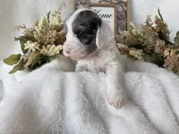 processed/6af2c337-7cf0-4aa7-be38-28c8f9d61865/listing/b6fcc692-efff-488a-8554-24d755370fb6/d58353d6-0c97-4b88-88df-59462229e3d7