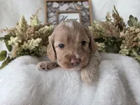 processed/6af2c337-7cf0-4aa7-be38-28c8f9d61865/listing/bd4484aa-4133-4c17-a791-e75d2a458c1b/37a12174-0531-482d-8960-e3fe15d74aaa