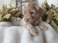 processed/6af2c337-7cf0-4aa7-be38-28c8f9d61865/listing/bd4484aa-4133-4c17-a791-e75d2a458c1b/445f5007-c7ca-4c64-863a-b07d97c0cc4f