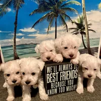 processed/6af415d6-4ce6-4e67-9519-bac2bd757d88/facility/0b858948-3a6a-4d04-bcaa-7a86bf299dbd