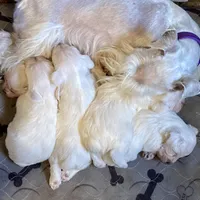 processed/6af415d6-4ce6-4e67-9519-bac2bd757d88/facility/29525e91-666e-40ce-b4e3-bb8f1162cd87