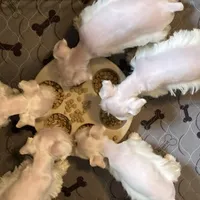 processed/6af415d6-4ce6-4e67-9519-bac2bd757d88/facility/85f9e6fe-b864-4d36-bbe0-2548651ba629