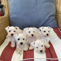 processed/6af415d6-4ce6-4e67-9519-bac2bd757d88/facility/8a6a6b6b-bf4d-4abd-8826-5c7626d2b6ed