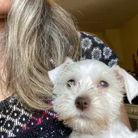 processed/6af415d6-4ce6-4e67-9519-bac2bd757d88/facility/9679662f-58f1-4a32-b475-3327d5887c42