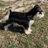 processed/6af415d6-4ce6-4e67-9519-bac2bd757d88/facility/a168f54c-878c-4396-bf1e-fb5ed0cb5700