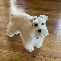 processed/6af415d6-4ce6-4e67-9519-bac2bd757d88/facility/ae149515-9d8f-4af3-9397-a82814a1f928