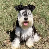 processed/6af415d6-4ce6-4e67-9519-bac2bd757d88/facility/cebaf287-5045-41b6-add9-6685cd408e2b