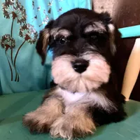 processed/6af415d6-4ce6-4e67-9519-bac2bd757d88/facility/d9021fcd-7ef2-432e-8e28-7c0ca2d297ab